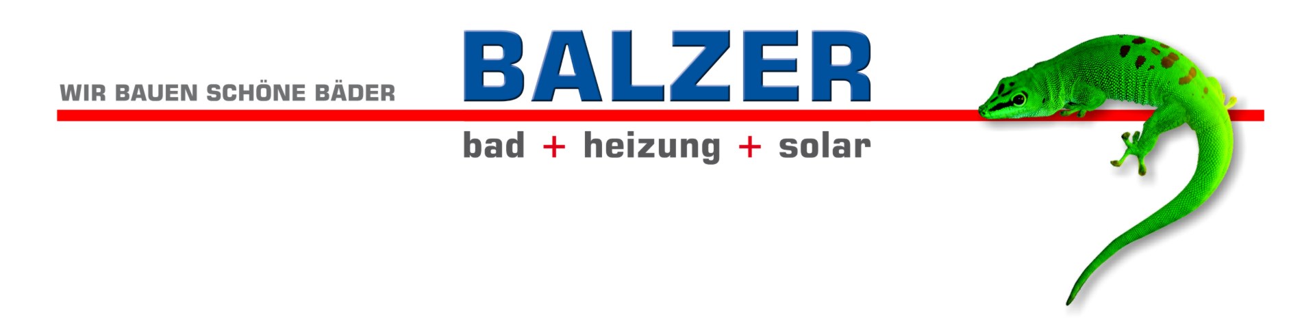 Balzer Logo